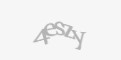 Código de segurança