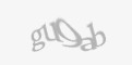 Código de segurança