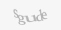 Código de segurança