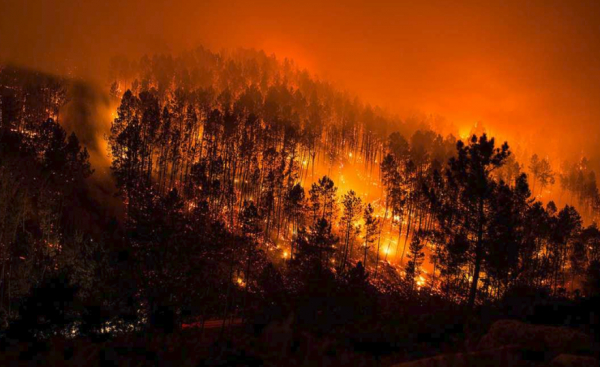 Enquanto Feijó apoia os bombeiros pirómanos madrilenos contra a Catalunha, 15 incêndios arrasam 1.900 hectares na Galiza em 24 horas