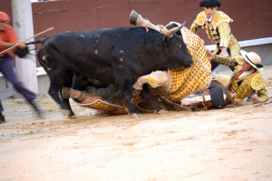 Vários animais assediam um touro durante umha tourada em Madrid