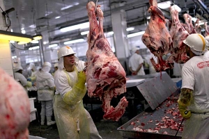 Brasil se torna o maior fornecedor de carne bovina da China