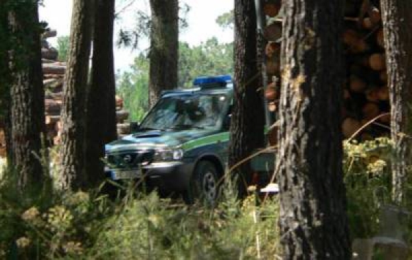 Guardas-florestais vão para a luta contra a extinção da carreira