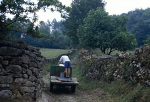 Rural galego: 75% do território, 25% da populaçom e 20% do PIB