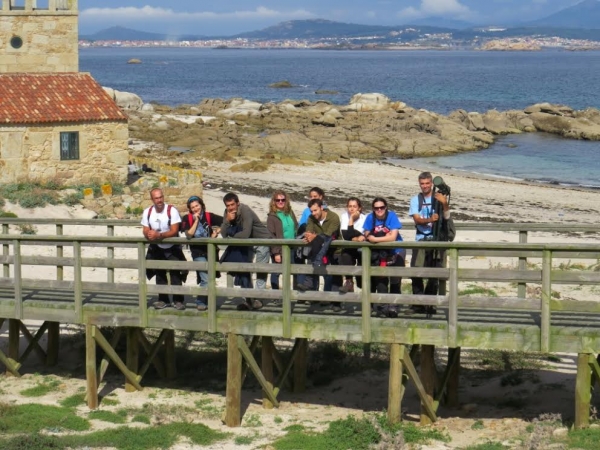 Voluntariado ambiental: eliminando invasoras e cuidando a ilha de Sálvora