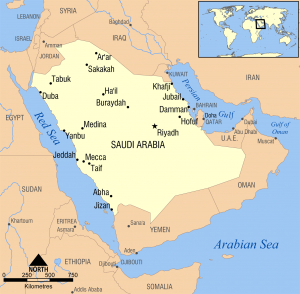 Alta dos preços do petróleo em consequência do expurgo saudita