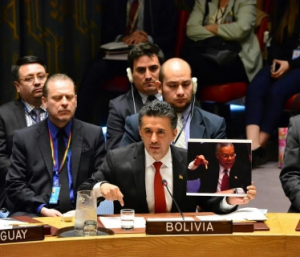 Sacha Llorenti, embaixador da Bolívia discursa no Conselho de Segurança da ONU nesta sexta (07)